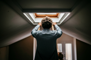 Bruit de Grattage Dans le Plafond : Que Faire Avant Que Ça Ne S&rsquo;Aggrave