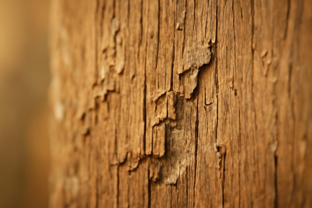 Épaufrures : Causes, Conséquences et Solutions